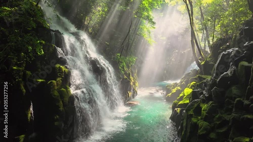 夏の菊池渓谷