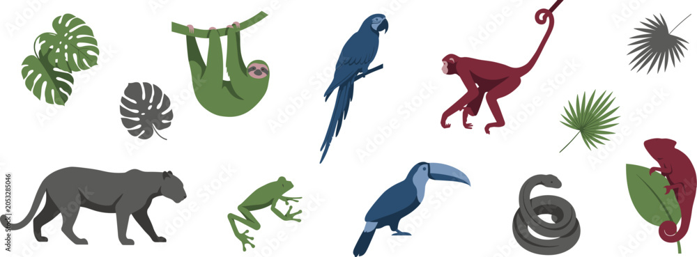 Fototapeta premium Tropical Rainforest Animal Vector Set with Sloth Parrot Monkey Panther Frog Toucan Chameleon for Wildlife and Nature Design