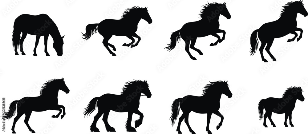 Obraz premium Horse Silhouette Collection with Running Rearing Grazing and Standing Poses