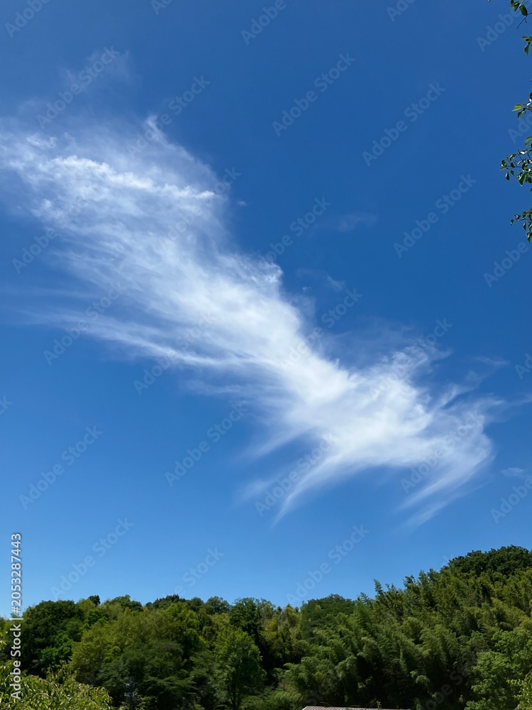Obraz premium 青空と雲