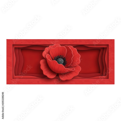 Red poppy flower in rectangle frame.
