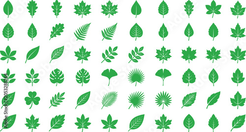 Foto Green leaves silhouettes vector mega icon set with maple oak fern palm monstera
