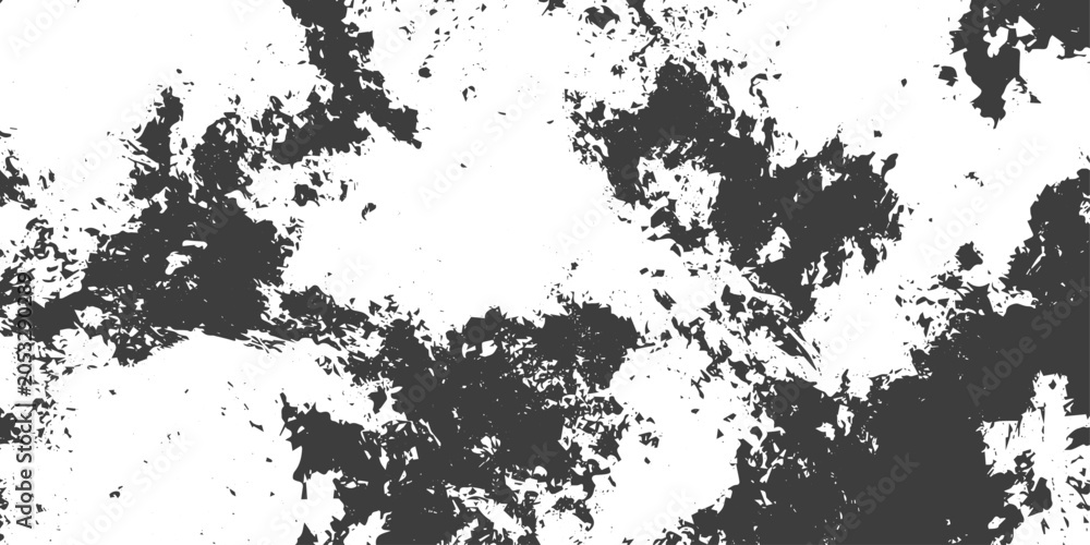 Fototapeta premium Abstract Black and White Grunge Texture Background with Distressed Vector Splatter Effect for Graphic Design