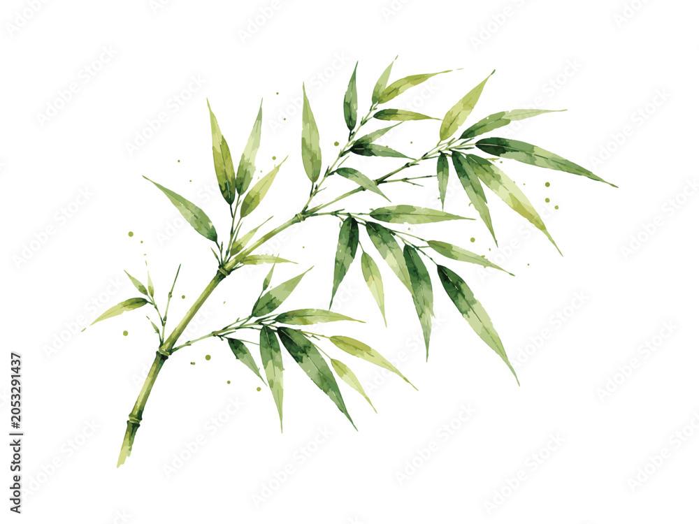 Fototapeta premium Watercolor Painting of a Bamboo Branch with Green Leaves.