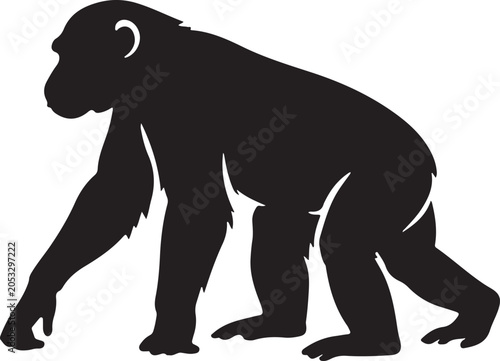 monky vector