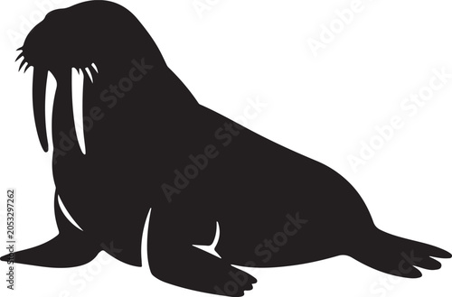 walrus vector