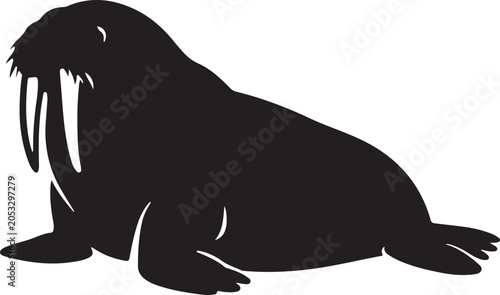walrus vector