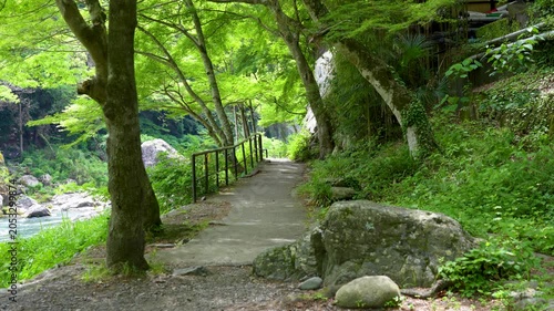 Summer Walking Path in Okutama Tokyo