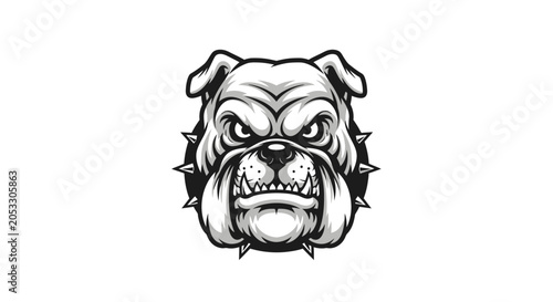 Tableau sur toile Angry bulldog face with spiky collar.