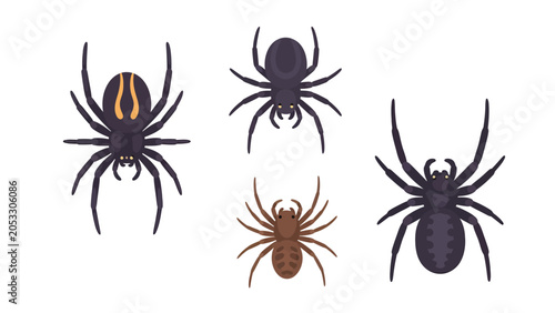 Collection of five different illustrated spiders, including a black widow, on a white background.