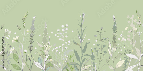 Fotografi Wildflower collection soft painterly illustration in muted green tones