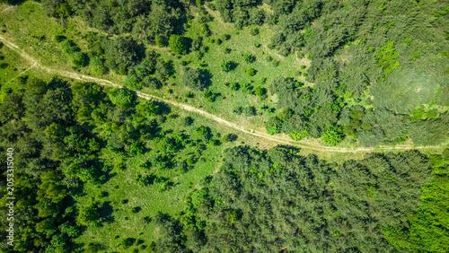 Aerial View of Forest Path Through Green Woodland Landscape