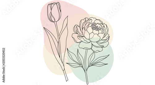 Minimalist line art of tulip and peony flowers with abstract pastel color blobs background