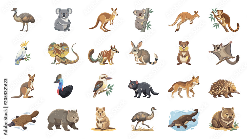Fototapeta premium Collection of Australian Animals Illustrations for Educational Usage