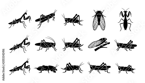 Bild auf Leinwand Black insect silhouettes collection, 15 vector icons of praying mantis, grasshop