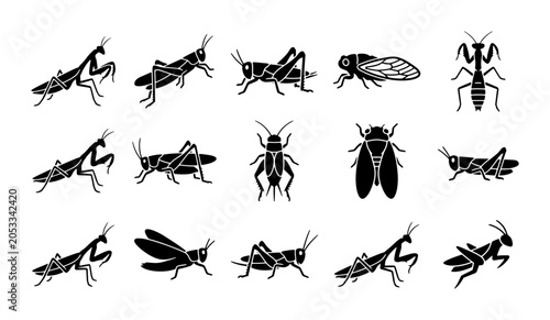 Foto Black insect silhouette icons set, 15 vector grasshopper and praying mantis symb