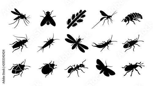 Bild auf Leinwand Insects and garden pests silhouette collection, 15 black bug icons including mos