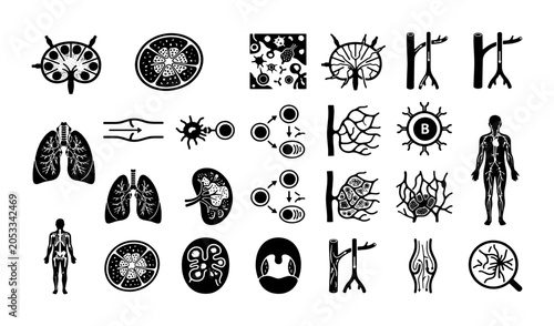 Bild auf Leinwand Medical human anatomy icons set, black and white biological organ symbols, 25 ve