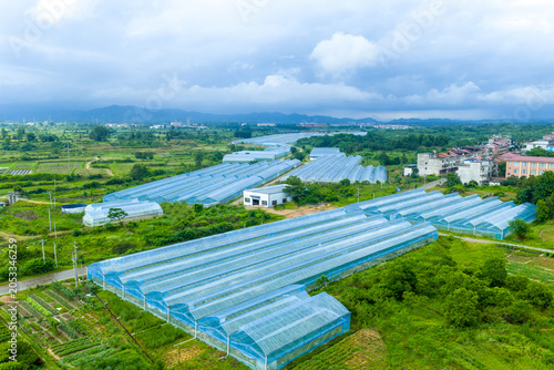 Aerial View of Modern Greenhouse Agriculture in Rural China