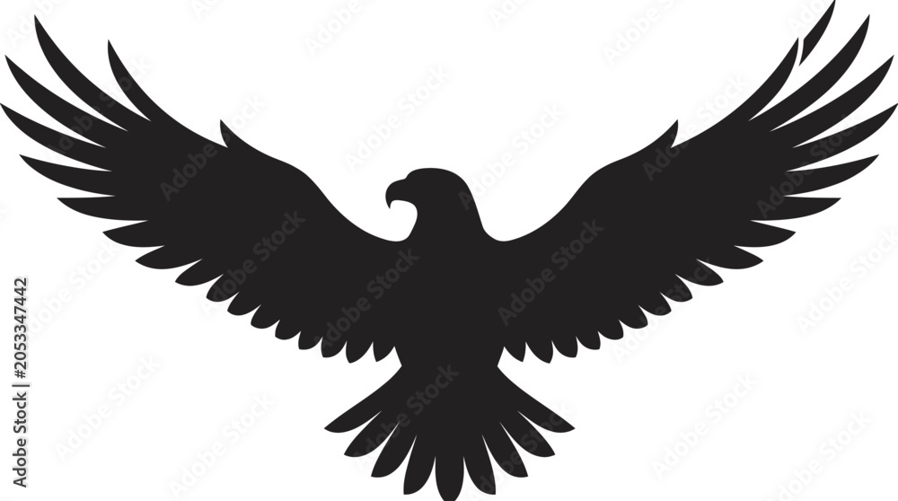 Obraz premium A majestic eagle spreads its wings in mid-flight outdoors