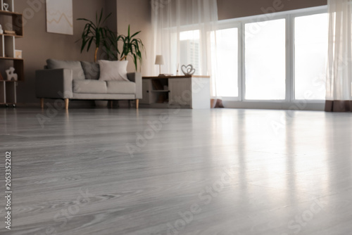 Modern home interior with g...