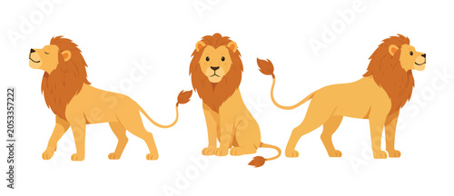 Photography Cute Lion Character Set – Wild African Big Cats Collection Illustration