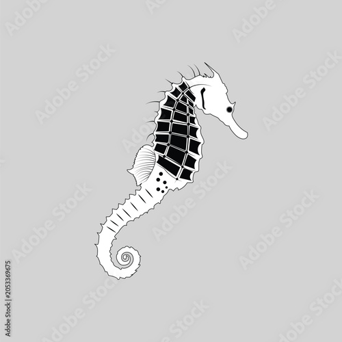 Seahorse Line Art Vector Illustration - Detailed Black and White Seahorse with Curled Tail on Light Background
