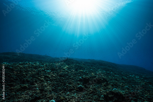 Foto Sun Rays Penetrating Clear Tropical Ocean Above Coral Reef