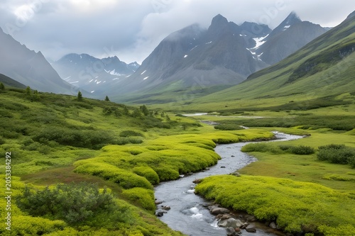 mountain landscape with river