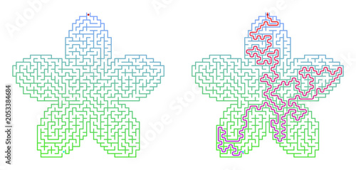 Printable flower labyrinth with answers for education and fun on a transparent background for table games, books and websites