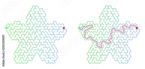 Printable flower shaped labyrinth for children with solution on a transparent background for magazines, board games and websites