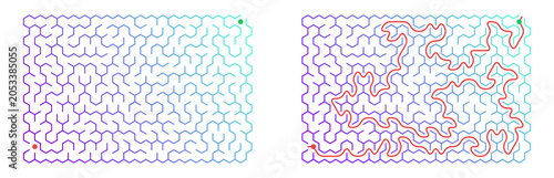 Rectangle maze printable with ready solution for children on a transparent background, great for websites, books and activity magazines