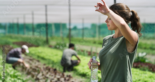 Εκτύπωση καμβά Farmer, woman and sweat with water break for agribusiness, fatigue and hot weather in greenhouse
