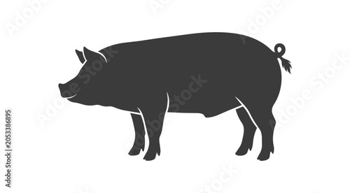 Silhouette of a Domestic Pig Standing Profile View.