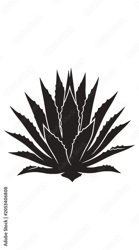 Fototapeta premium Agave succulent plant silhouette minimalist botanical design.