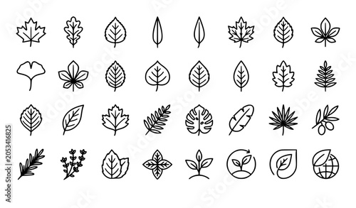 Fotografie leaves, leaf, vegan, eco, plant, growth, organic, nature, botanical, foliage, he