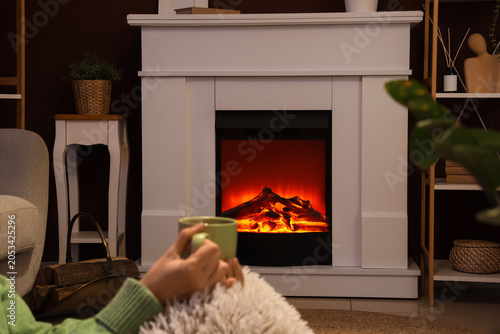 Cozy home interior with per...