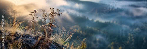 Mountain Herd Majesty: A herd of mountain goats stands proudly on a rocky outcrop, silhouetted against a misty, evergreen forest, bathed in the golden light of dawn.