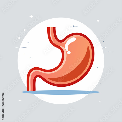 Stylized Illustration of a Human Stomach