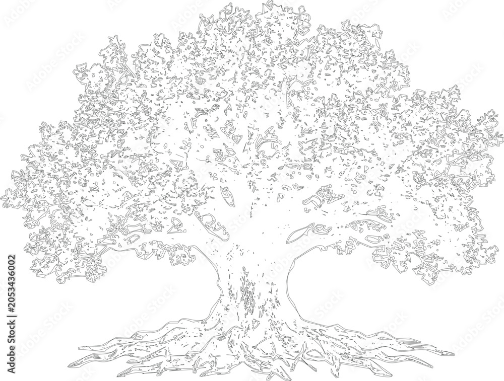 Obraz premium Intricate outline drawing of a mature tree, detailed roots and branches forming silhouette against transparent background