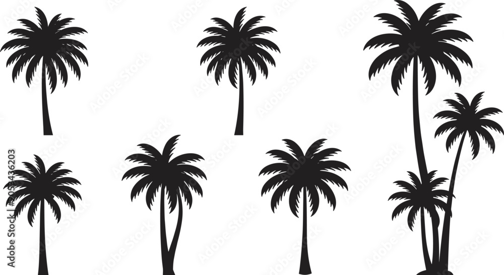 Obraz premium Collection of tropical palm tree silhouettes isolated on white background, summer beach island design set, exotic vacation paradise vector illustration
