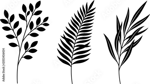 Decorative black leaf and branch silhouettes with branches
