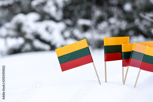 Small Lithuanian flags planted in fresh snow with a blurred winter forest background.