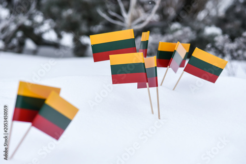 Small Lithuanian flags planted in fresh snow with a blurred winter forest background.