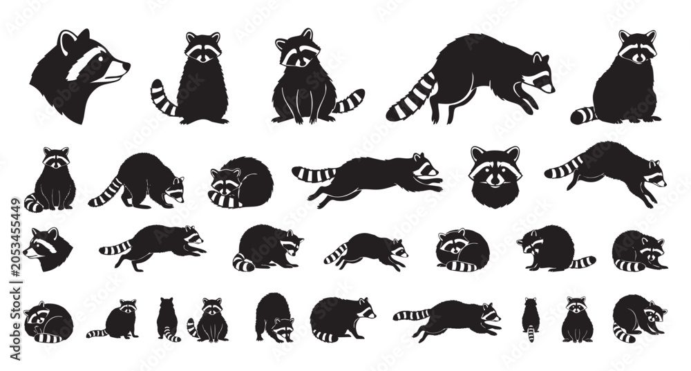 Fototapeta premium black raccoon silhouettes in playful cluster showcasing sitting, standing, and climbing poses, bold monochrome shapes with striped tails and masked faces, perfect for branding, stickers,