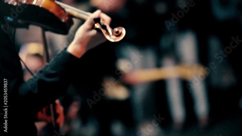 Violinist plays the violin during a street concert
