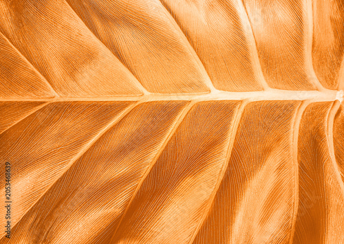 Картината върху платно Amber Coenzyme Matrix: Luxury Botanical Oil Skincare Background