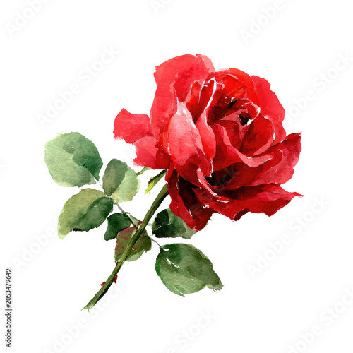 A vibrant watercolor painting of a red rose in full bloom, with green leaves and a delicate stem, against a stark black background