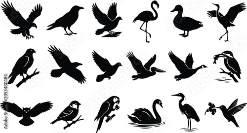 Bird silhouette vector illustrations featuring diverse species in flight, perched, standing, and water interaction poses