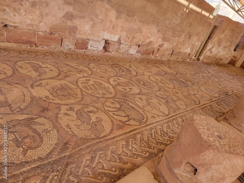 Obraz na płótnie Exquisite ancient Byzantine mosaic floor depicting animals in the ruins of the Petra Church in Jordan